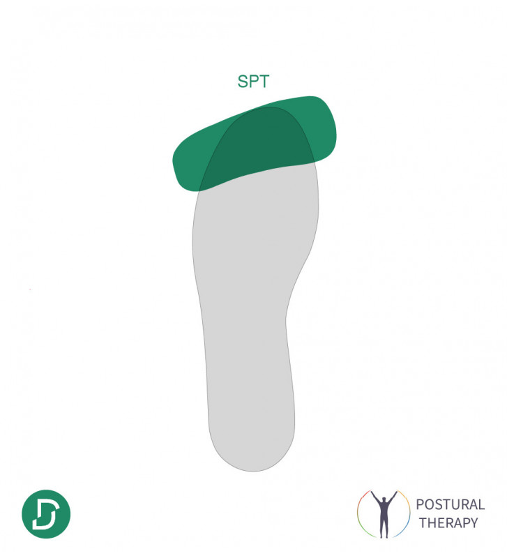 SPT (lot de 5 paires)