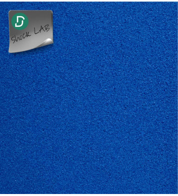 Pastille arrière-pied ovale (lot de 5 paires)