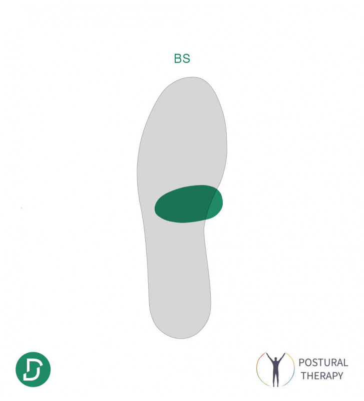 BS (lot de 5 paires)