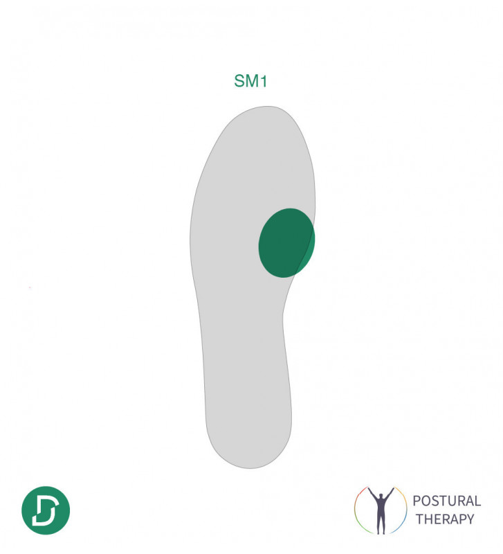 SM1 (lot de 5 paires)