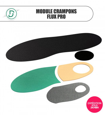 Module Crampons Flux Pro