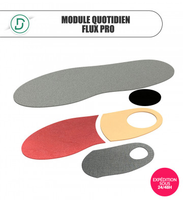 Module Quotidien Flux Pro