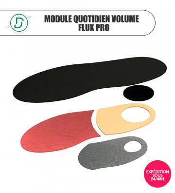 Module Quotidien Volume Flux Pro