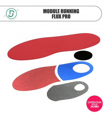 Module Running Flux Pro